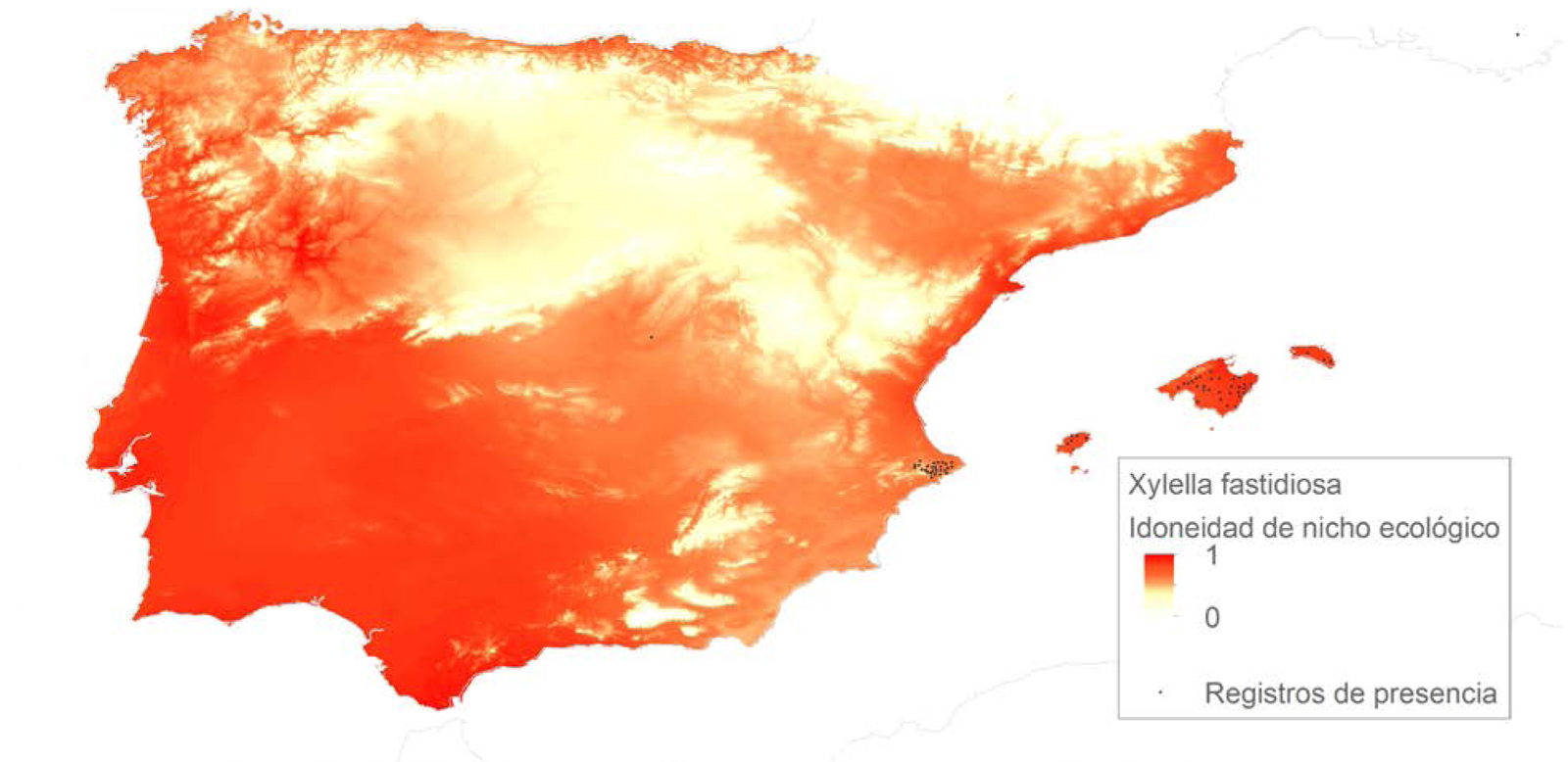 Figura 3. Distribucin potencial de Xylella fastidiosa proyectada en la pennsula Ibrica e Islas Baleares. Fuente: Elaboracin propia...