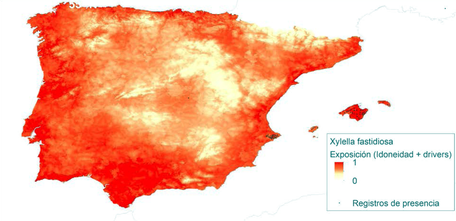 Figura 5. Modelo de exposicin de la pennsula Ibrica e islas Baleares a Xylella fastidiosa. Fuente: Elaboracin propia...