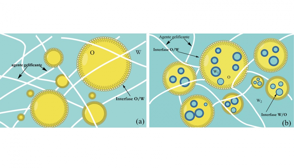 Figura 2. Representacin esquemtica de emulsin estructurada W/O, ESG, (a), y W1/O/W2 gelificada, EDG, (b) (Freire, 2018)...