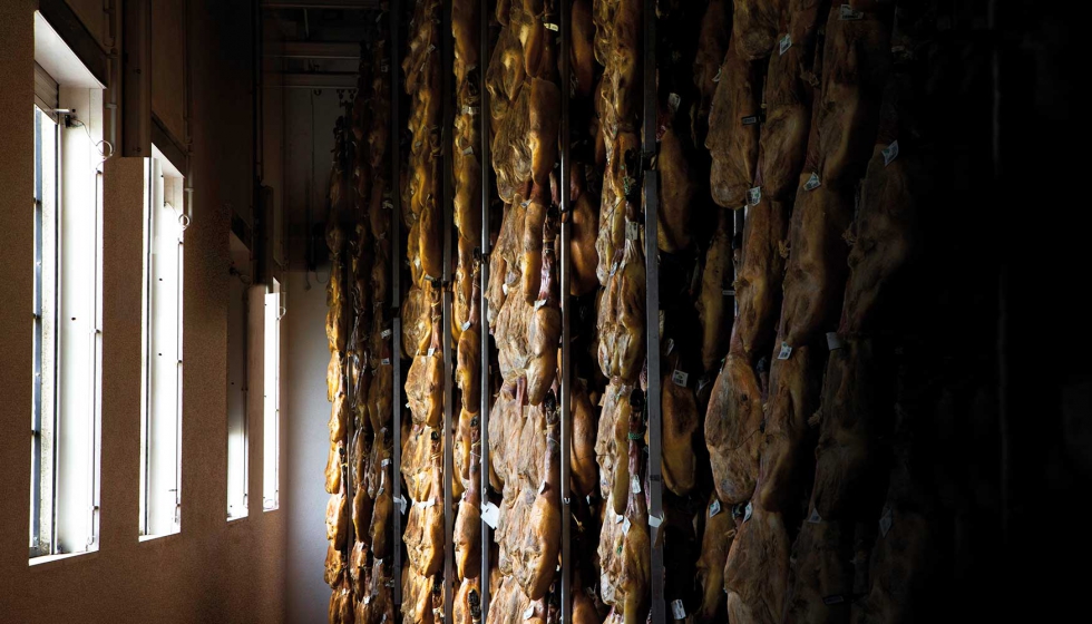 Todas las bodegas y secaderos estn ubicadas en entornos naturales, con ventanas que permiten aprovechar el aire puro...