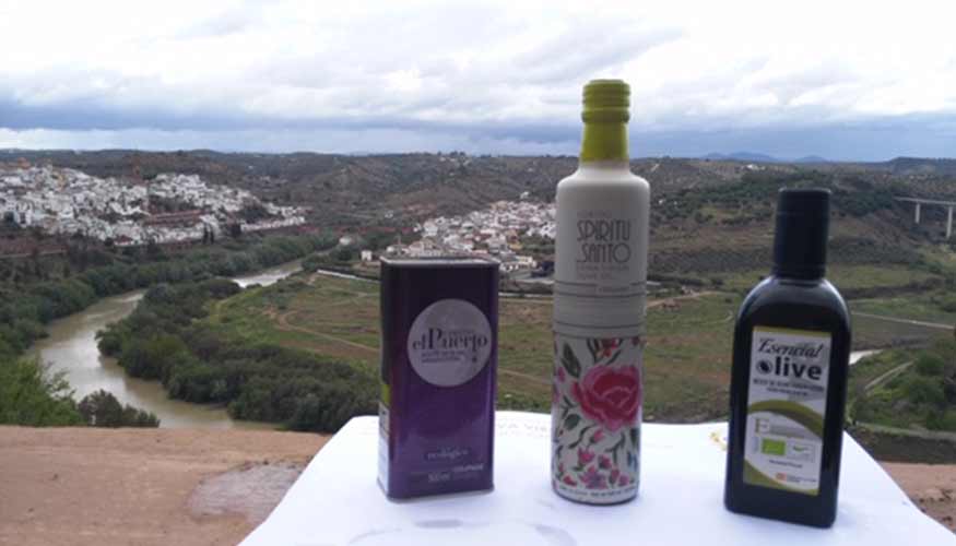 Ganadores de Ecotrama, el Concurso Internacional de Aceite de Oliva Virgen Extra Ecolgico patrocinado por Seipasa