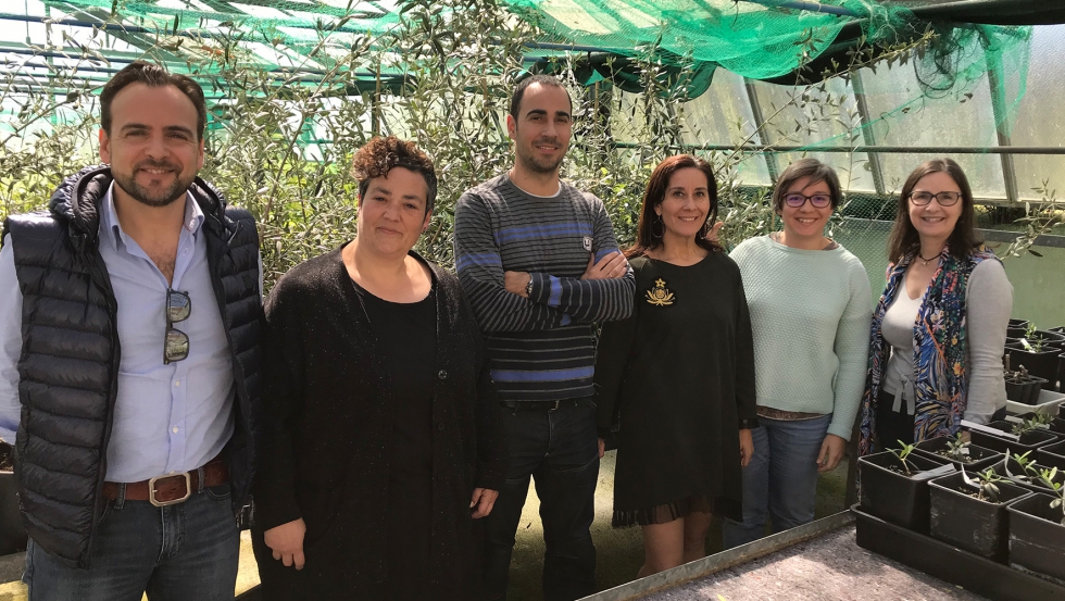 Equipo de investigacin en olivo de la Misin Biolgica de Galicia (MBG-CSIC)...