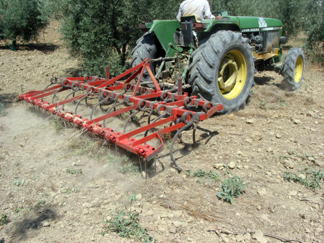 Figura 2. Cultivador en olivar