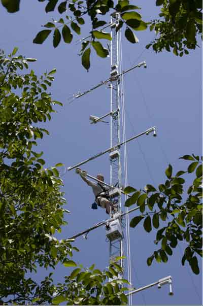 Cientficos de NCAR han usado torres equipadas especialmente para medir las emisiones de las plantas sobre la cubierta forestal de un nogal...