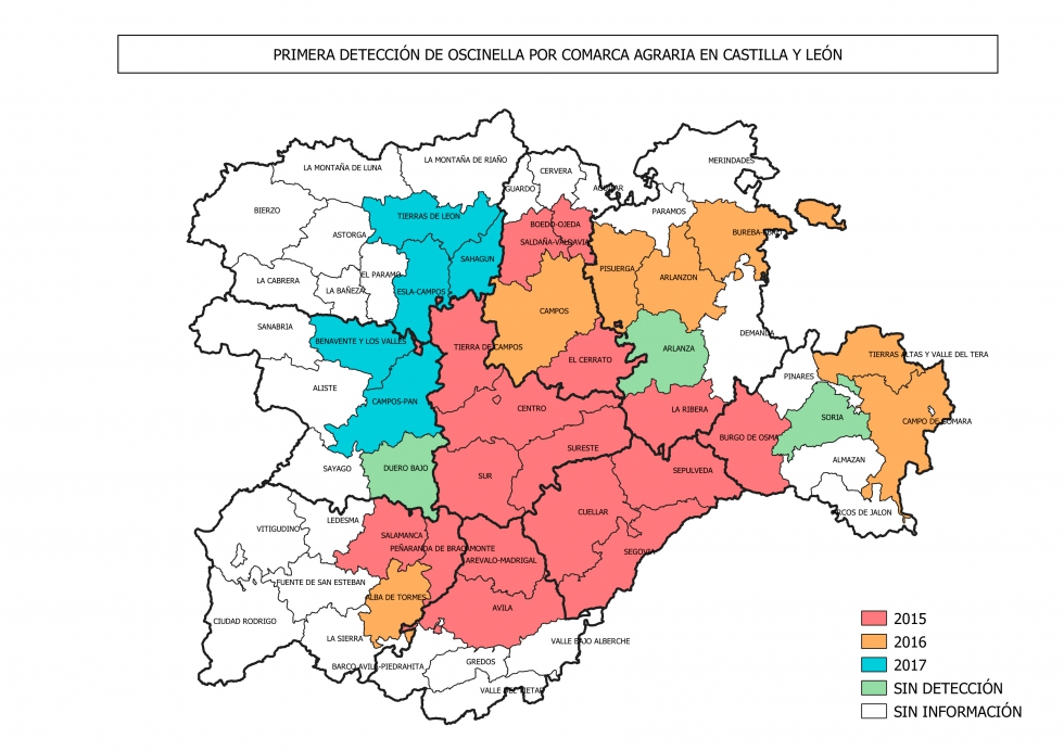 Mapa 1. 1 deteccin de O. frit por comarcas agrcolas en Castilla y Len