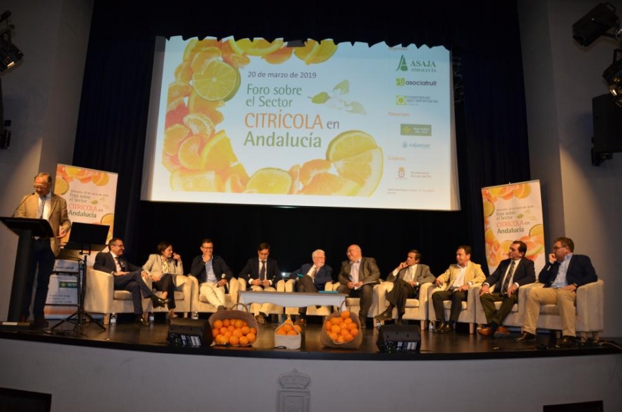 Recientemente, en el Foro sobre el Sector Citrcola en Andaluca, la directora general de Producciones y Mercados del MAPA, Esperanza Orellana...