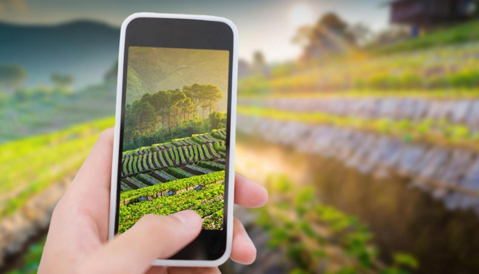 El proyecto tambin persigue la promocin de un polo de innovacin para la creacin de un ecosistema digital y de innovacin...