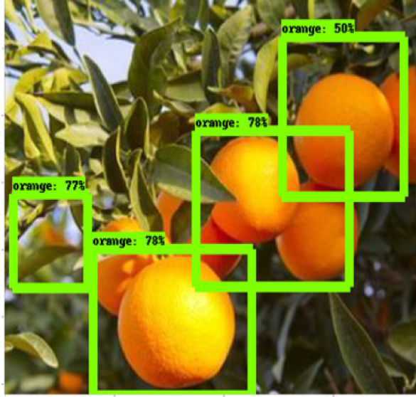 Figura 3. Deteccin automtica de naranjas y precisin del algoritmo en cada deteccin...