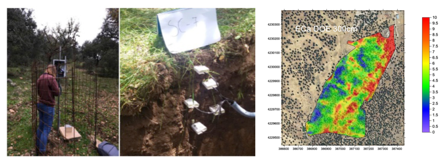 Fig. 1. (Izquierda y centro) Medida de la humedad de suelo en dehesa con sensores tipo TDR...