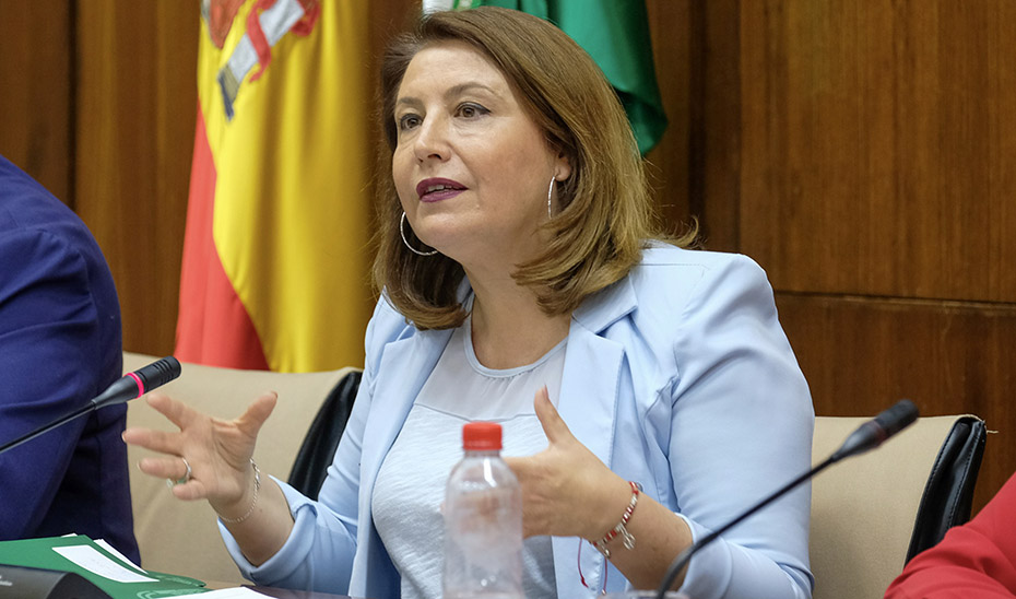 La consejera Carmen Crespo durante su comparecencia ante la comisin parlamentaria