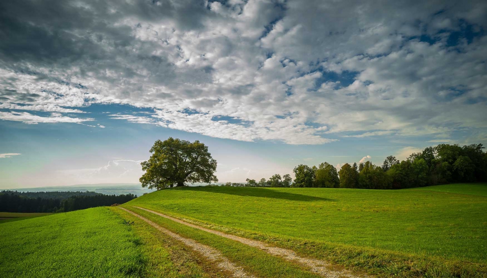 Proponen una soluci�n innovadora para reducir el desperdicio de alimentos y hacer inteligentes las cadenas de suministro...