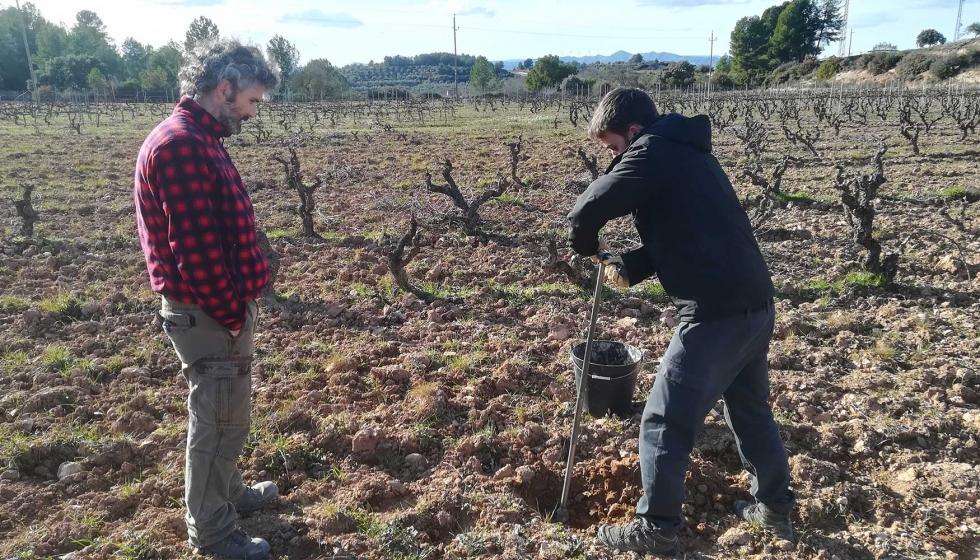 Se ha realizado una caracterizacin nutricional del viedo mediante anlisis de suelo y de hojas