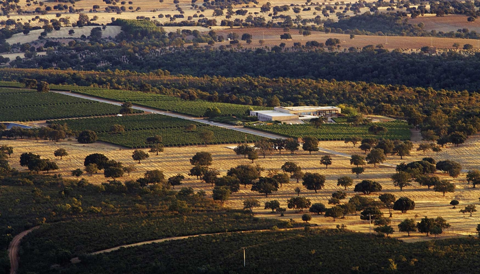 Vallegarca consigue la proteccin de su viedo, plantado sobre uno de los suelos ms antiguos de la Pennsula Ibrica