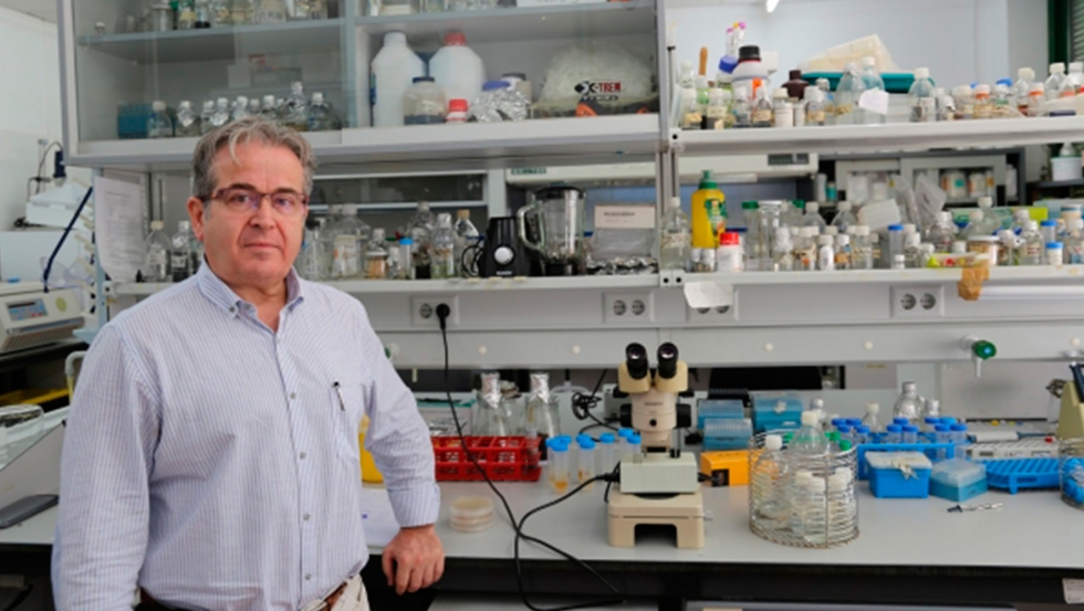 Jos Luis Caballero, investigador del grupo de Biotecnologa y farmacognosia vegetal de la UCO