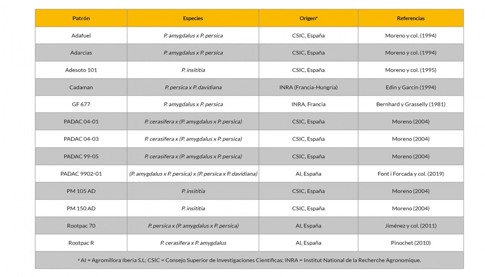 Tabla 1. Lista descriptiva de los patrones evaluados