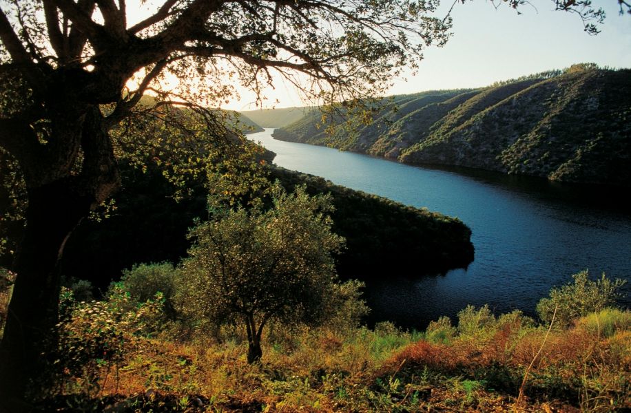 300 Mil Euros Para Valorizar O Parque Natural Do Tejo Internacional - O ...