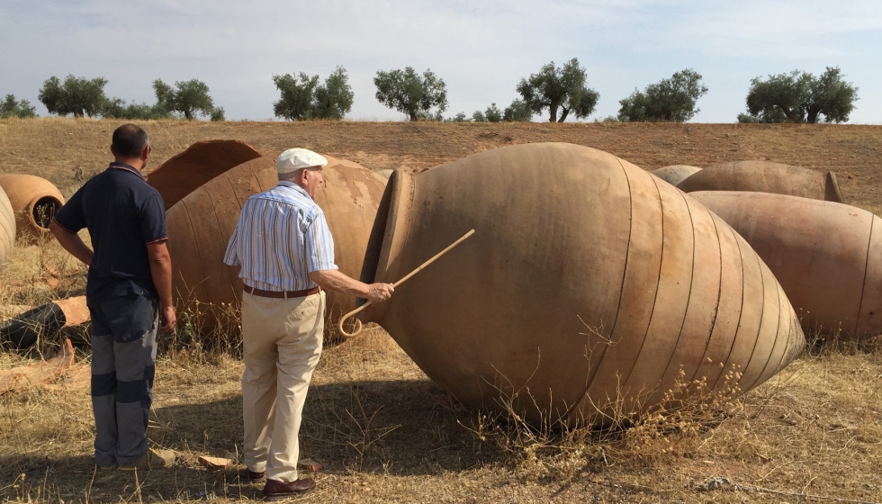 El Grupo Operativo es el resultado de la sinergia de diferentes bodegas que apuestan por la innovacin a travs de la tradicin...