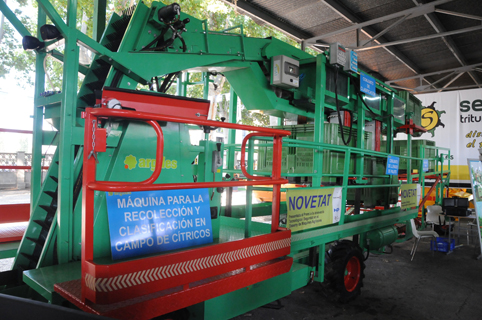 Machine for the collection and classification of citrus Argils