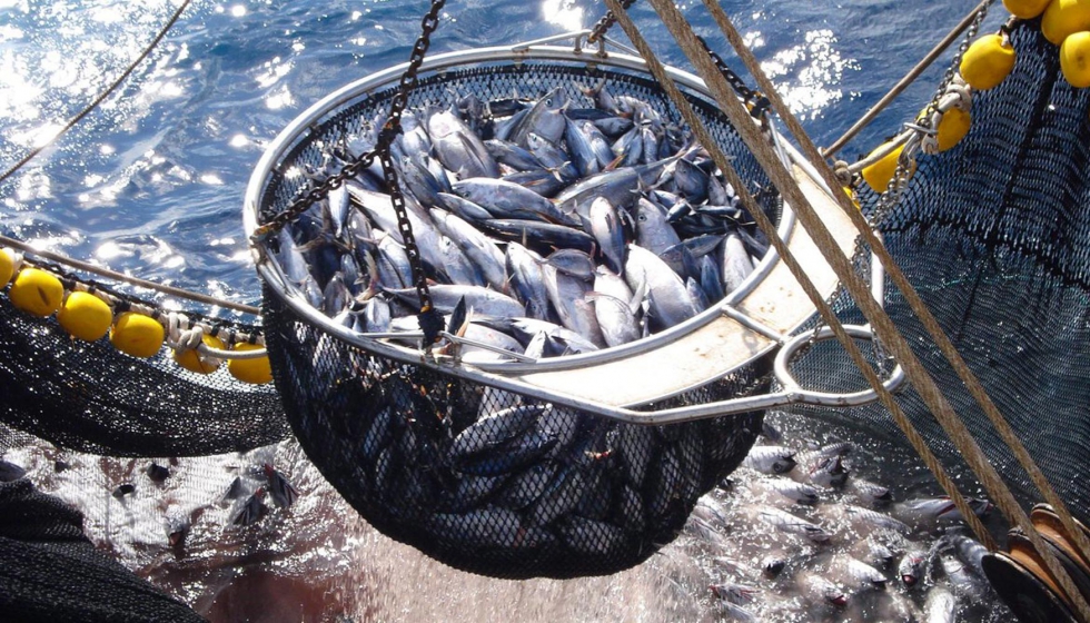 La escasez de tripulantes puede poner en peligro la actividad pesquera. Foto: Cepesca
