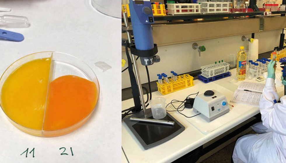 Yemas de huevo preparadas para su anlisis en el laboratorio del rea de Tecnologa de los Alimentos en la Facultad de Veterinaria de la Universidad...