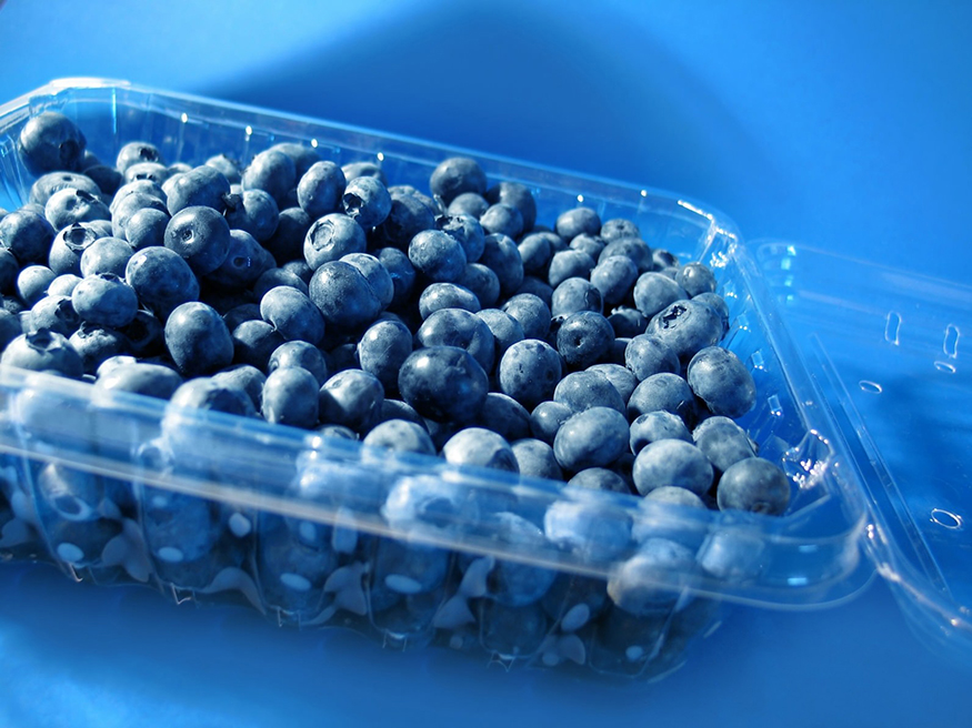 Plsticos em contacto com alimentos