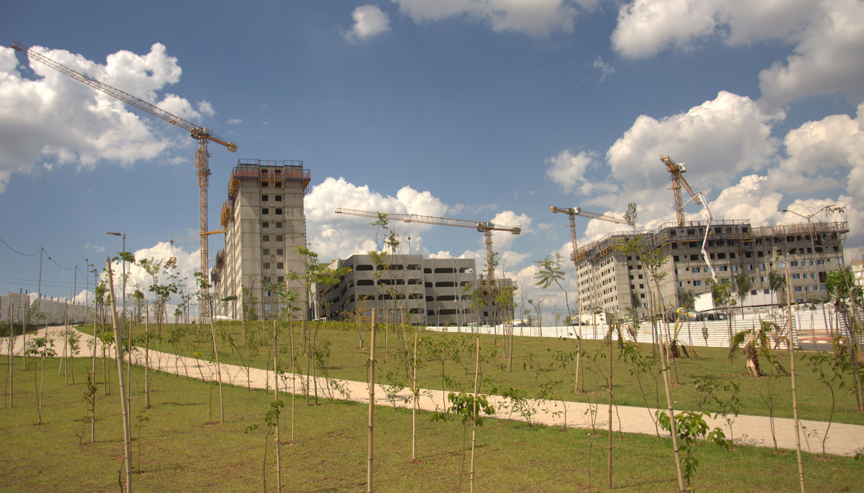 Un total de seis gras torre Liebherr estn trabajando en el proyecto 'Grande Reserva Paulista'