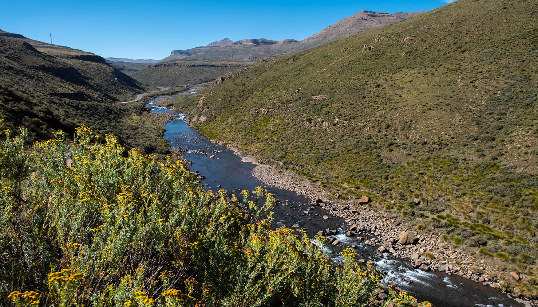 Tomra ha creado un Contador verde que muestra en tiempo real en su pgina web la reduccin total de CO2 lograda mediante el uso de mquinas de...