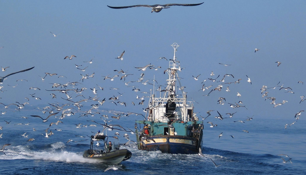 Espaa ha podido detectar operaciones de pesca ilegal muy complejas y a gran escala...