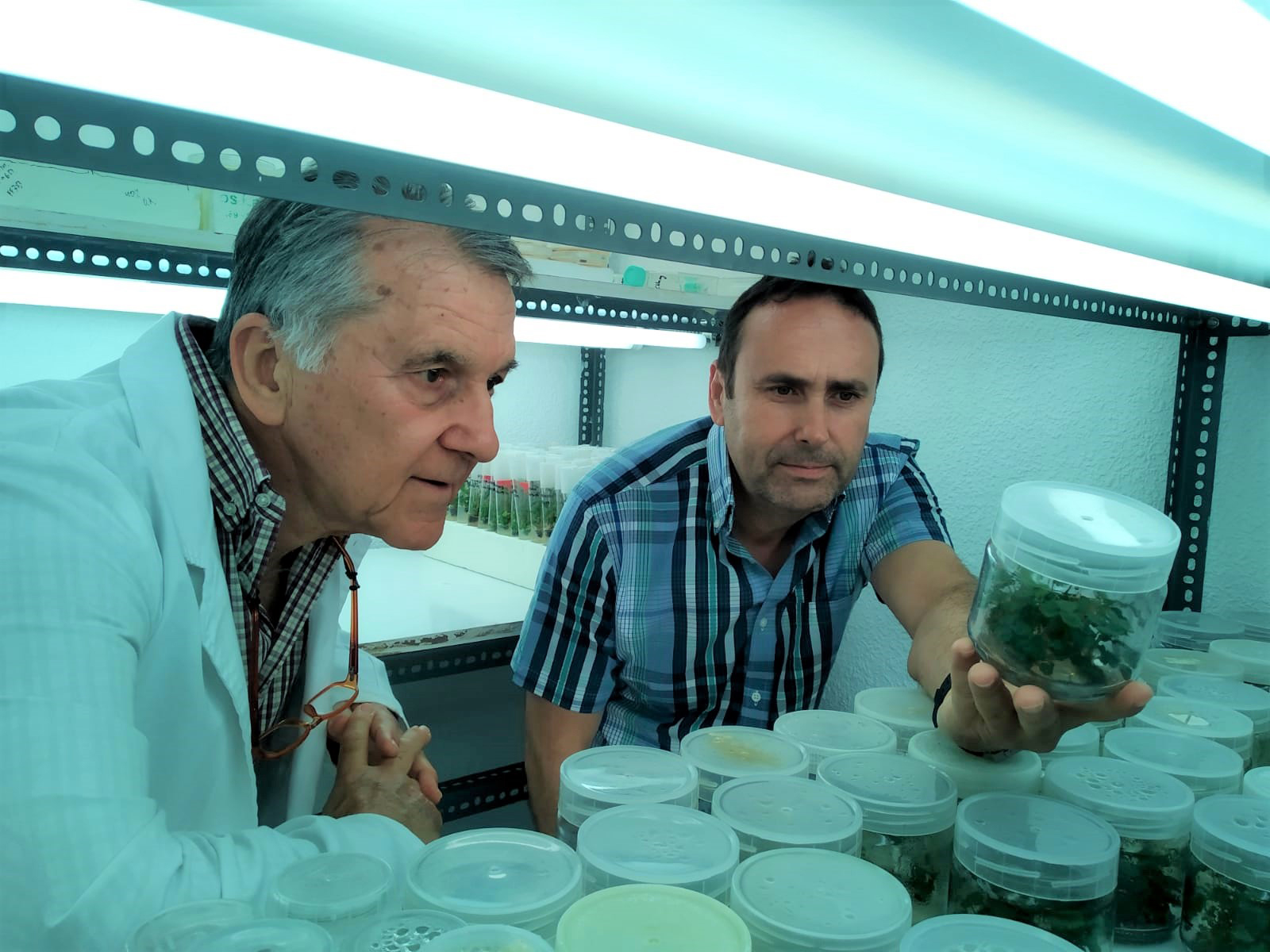 Fernando Pliego (izquierda, Jos Alberto Mercado, catedrticos del Departamento de Botnica y Fisiologa Vegetal de la UMA...