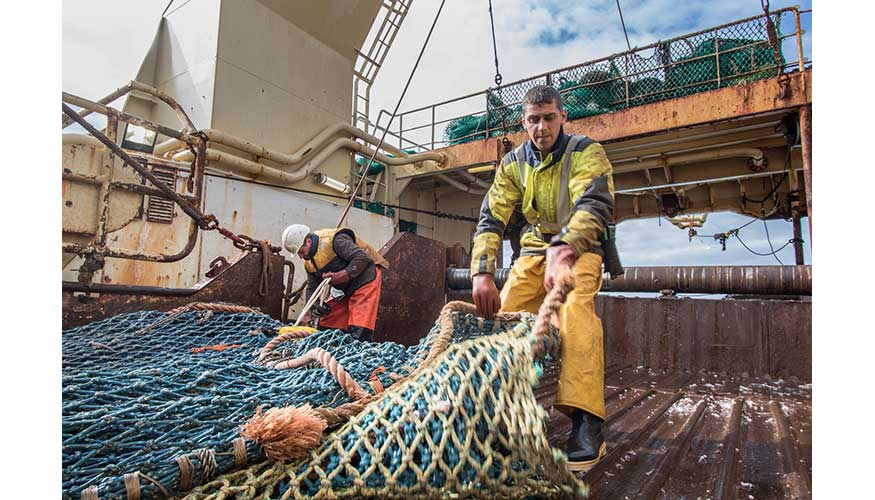 Reapertura de pesca industrial no revertirá la crisis del sector