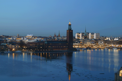 El ganador del Swedish Steel Prize 2008 se anunciar� el 20 de noviembre en el Blue Hall del ayuntamiento de Estocolmo