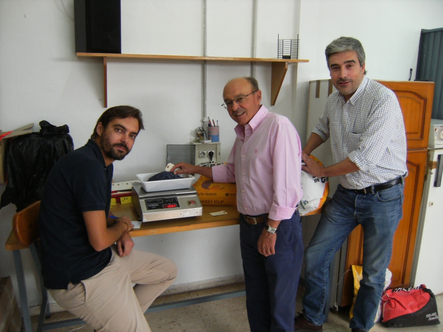 Javier Garca Lpez, Rafael Garca Ruiz e Ignacio Lorite Torres