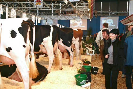 En EuroTier 2008 se mostrarn todos los productos relacionados con la produccin animal en la agricultura