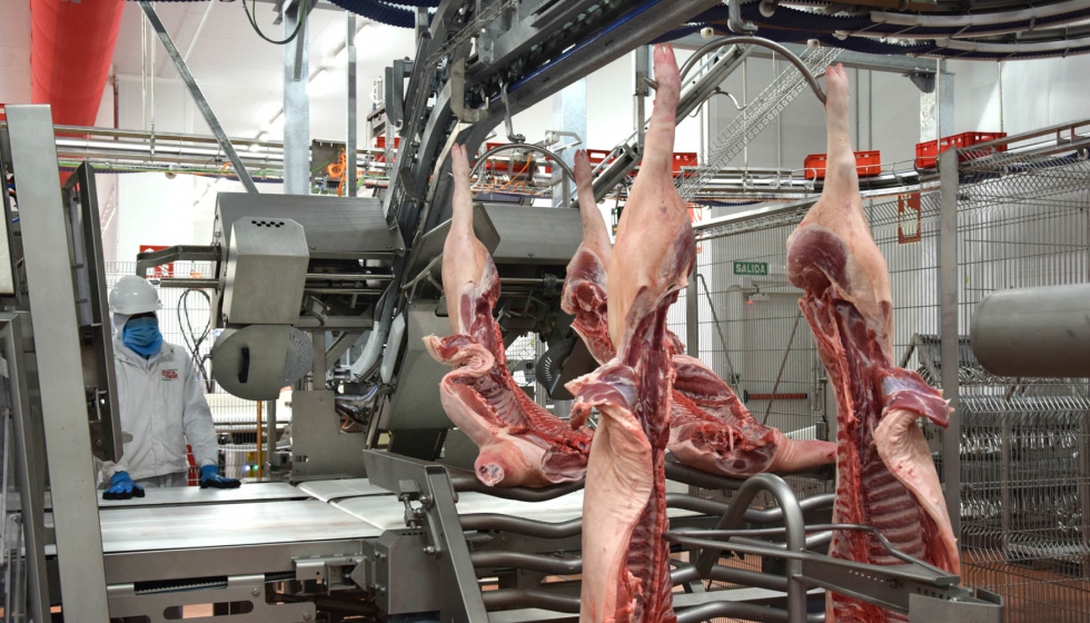 Litera Meat tiene una capacidad de sacrificio de 160.000 cabezas a la semana