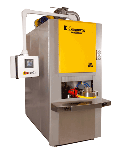 Ampliaci�n Tem S250