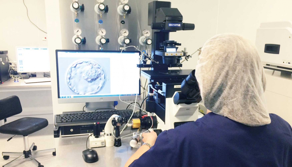 Observacin de un embrin humano de 5 das, obtenido por fecundacin in vitro