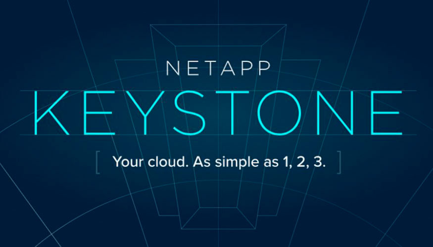 El programa NetApp Keystone ofrece varias soluciones flexibles para clientes que deseen construir o comprar su infraestructura de cloud...