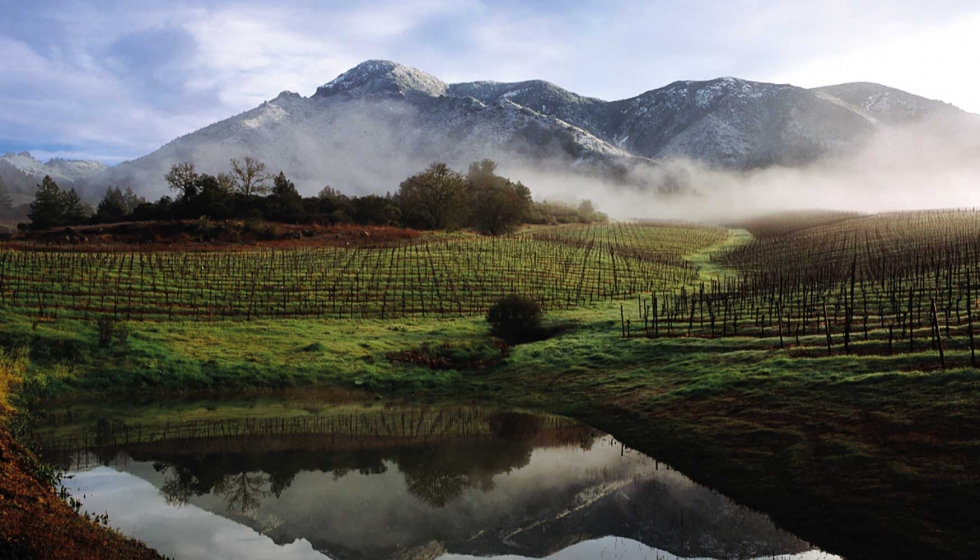 Los cofundadores Familia Torres y Jackson Family Wines han sido premiados por liderar la descarbonizacin de la industria vitivincola mundial...