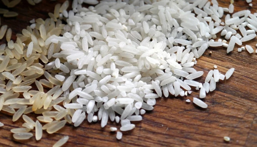 Para llevar a cabo el estudio, los investigadores emplearon cinco tipos de arroz. Foto: Imageparty