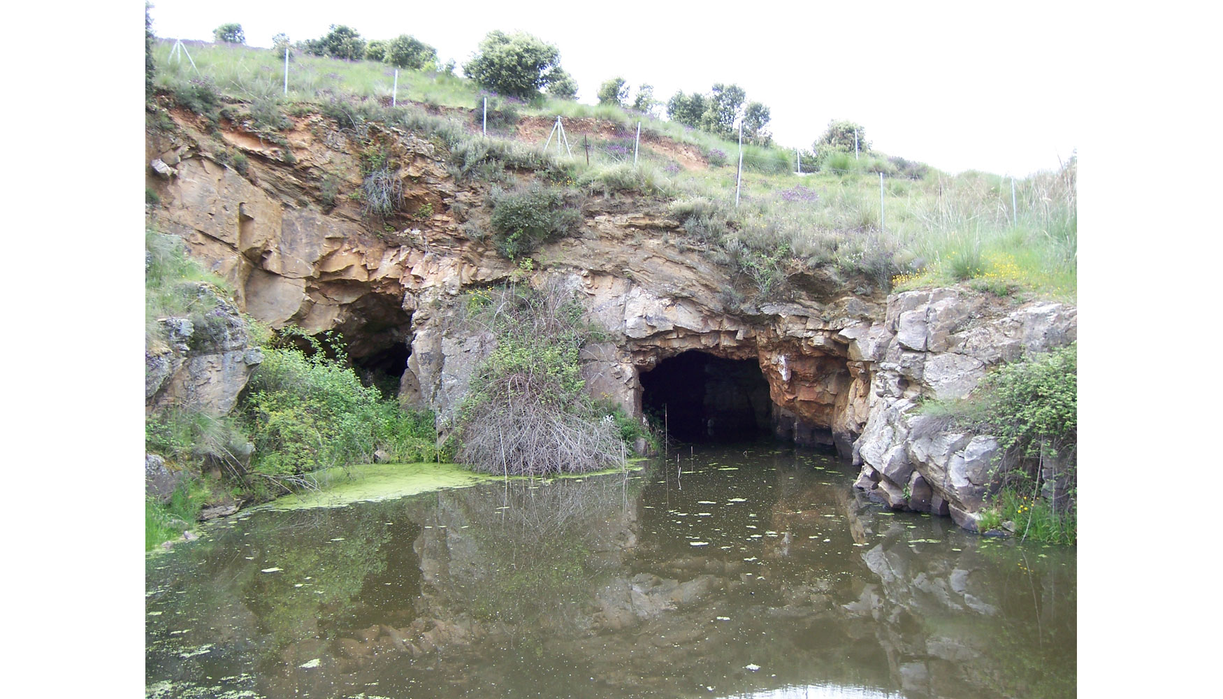 Fig. 4. Panormica de la corta de la mina Asuncin de Morille