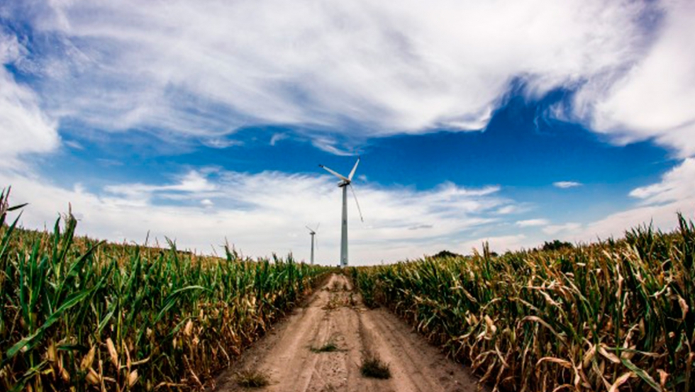 Los agricultores interesados en mostrar a la COP25 su labor por el medio ambiente lo puede hacer pinchando aqu