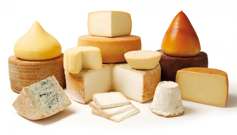 El queso que ha recibido mayor puntuacin ha sido el queso Cremositos del Zjar