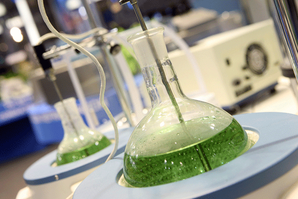 A pesar del aumento en cifras de facturacin, la industria qumica ha estancado su crecimiento