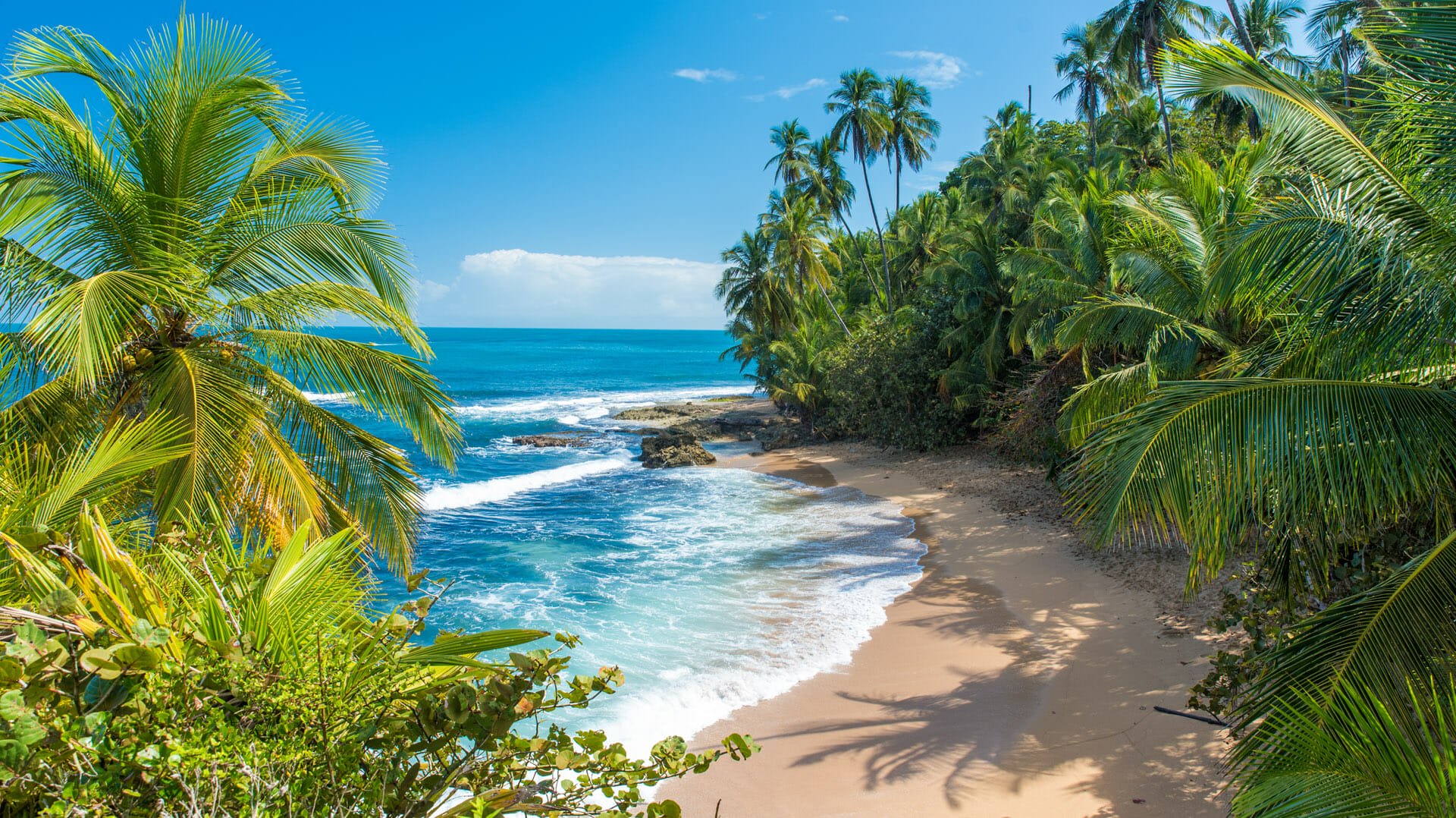 costa-rica-quer-30-de-reas-protegidas-para-defender-o-clima-o