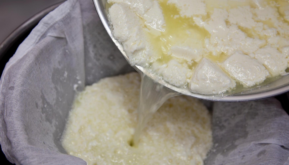El suero de la leche es un subproducto que se obtiene de la fabricacin de derivados lcteos como el queso