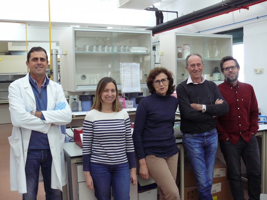 Equipo de investigacin capitaneado por Juan GIl