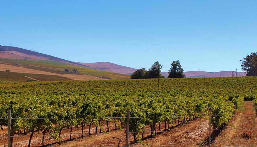 La Rioja, que aspira a convertirse en un referente mundial del enoturismo, cuenta con ms de 60.000 hectreas dedicadas al cultivo de la uva...