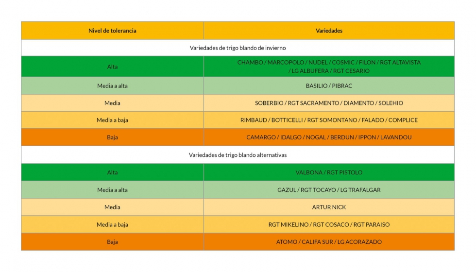 Tabla 1. Susceptibilidad a roya amarilla (Puccinia striiformis) de variedades de trigo blando de amplio cultivo en Espaa (Fuente: IRTA)...