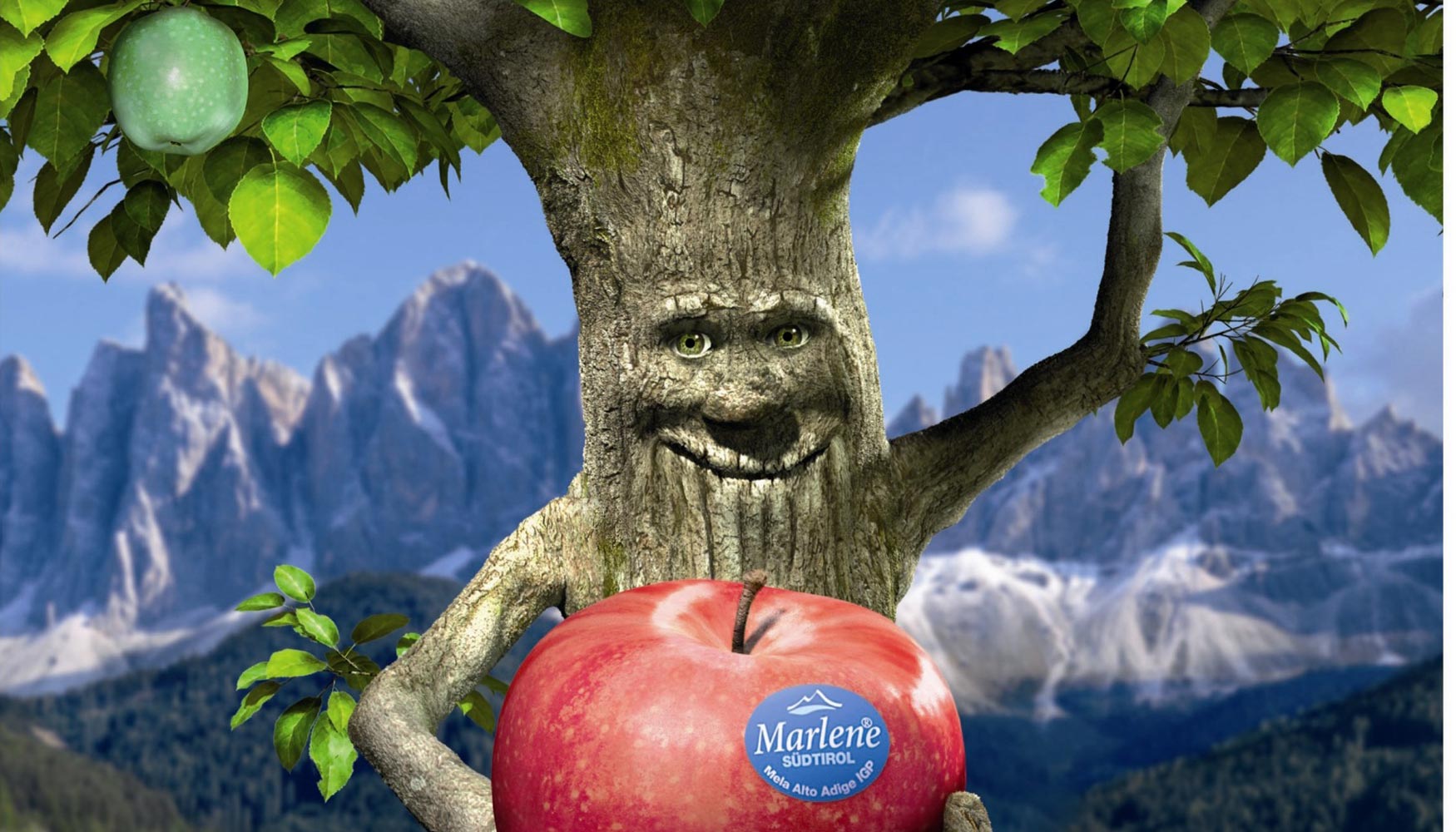 Marlene es la gran protagonista de las manzanas Club comercializadas por el consorcio surtirols VOG