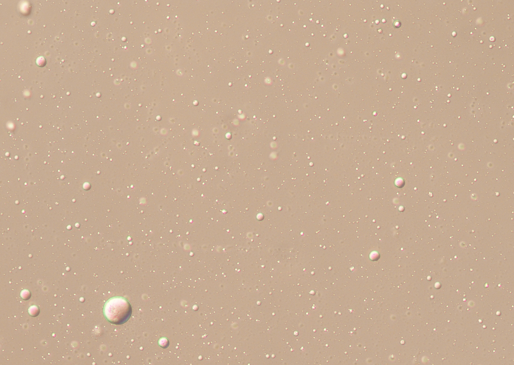 Figura 1. Observacin microscpica de aceite de oliva virgen sin filtrar (x10). Fotografa: Beln Caballero Guerrero
